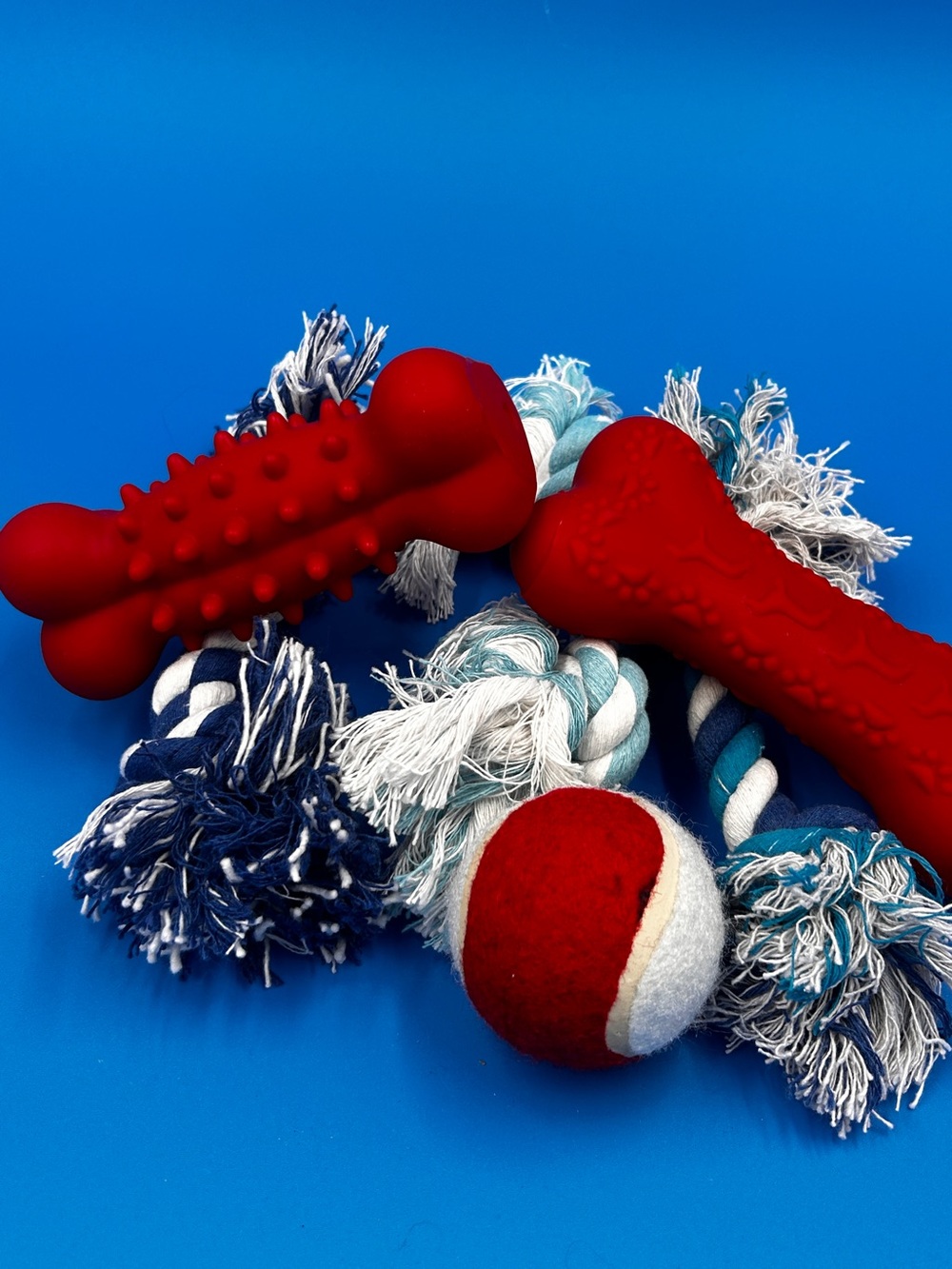 Red Dog Chew Toys & Rope Set